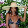 Haut de maillot de bain Champy Prise 4